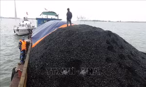 Triệt phá ổ nhóm lạm dụng tín nhiệm, chiếm đoạt lượng lớn than cám