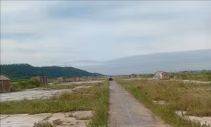 Muối rớt giá, những đồng muối ở xứ Thanh hoang hóa từng ngày