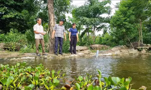 Những nông dân sáng tạo góp phần chuyển dịch cơ cấu kinh tế địa phương