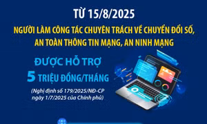 Từ 15/8/2025: Người làm công tác chuyên trách về chuyển đổi số, an toàn thông tin mạng, an ninh mạng được hỗ trợ 5 triệu đồng/tháng