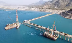 Gỡ điểm nghẽn để dự án Cảng biển tổng hợp Cà Ná sớm đi vào hoạt động