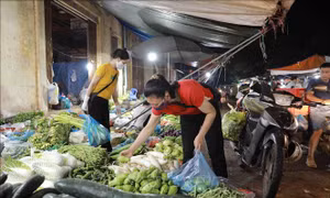 Hà Nội: Giá rau xanh tăng mạnh do rét đậm