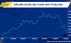 Giá dầu thực vật quay đầu lao dốc, nỗi lo của người tiêu dùng có được lắng xuống?