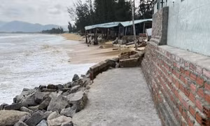 ​Sạt lở, xâm thực bờ biển làm sụt lún nhà dân ở Phù Cát (Bình Định)