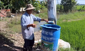 Đồng Tháp phát triển mô hình thu gom rác thải nông nghiệp