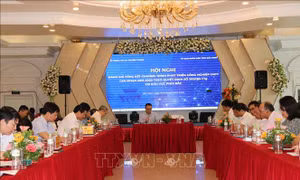 Tập trung nguồn lực phát triển ngành công nghiệp công nghệ thông tin