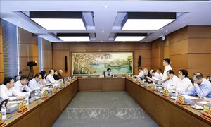 Kịp thời thể chế hóa các chủ trương, chính sách mới trong phòng, chống tội phạm
