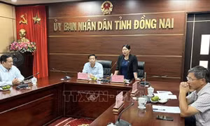 Thanh tra việc chấp hành pháp luật trong lĩnh vực tài nguyên và môi trường tại Đồng Nai