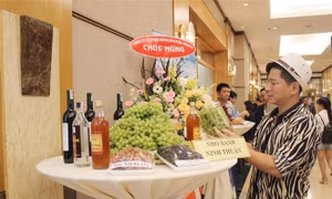 Tập trung chống hạn, Ninh Thuận không tổ chức Lễ hội Nho và Vang năm 2018