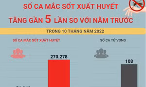 Số ca mắc sốt xuất huyết tăng gần 5 lần so với năm trước 
