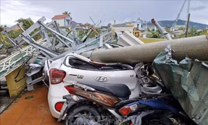 Hơn 357 tỷ đồng bảo hiểm bồi thường thiệt hại do bão số 10