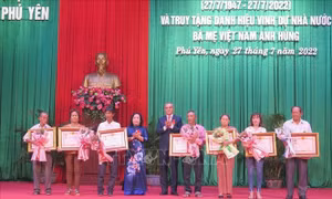 Truy tặng Danh hiệu vinh dự Nhà nước 'Bà mẹ Việt Nam Anh hùng'
