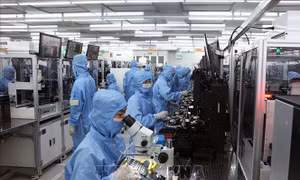 Việt Nam - Ngôi sao đang lên về thu hút FDI