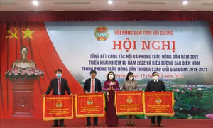 Hỗ trợ nông dân phát triển nông nghiệp bền vững