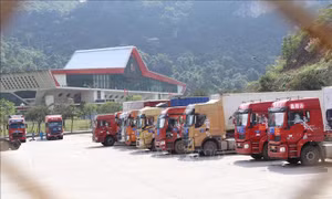 Hiện đại hóa xuất nhập khẩu qua nền tảng cửa khẩu số