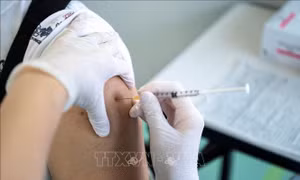 Nhật Bản công bố dữ liệu nghiên cứu về tiêm kết hợp vaccine mũi thứ ba