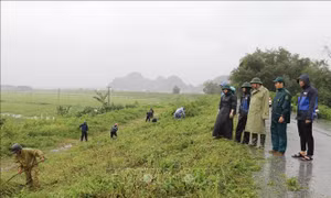 Ninh Bình bảm bảo an toàn đê điều, công trình thủy lợi