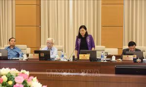 Phiên họp thứ 33, Ủy ban Thường vụ Quốc hội: Cho ý kiến về dự án Luật Xuất cảnh, nhập cảnh 