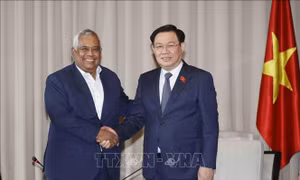 Nhiều doanh nghiệp Bangladesh quan tâm tìm hiểu thị trường tại Việt Nam