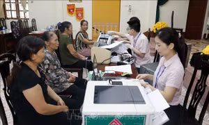 Lợi ích thiết thực từ nguồn vốn ưu đãi hộ nghèo