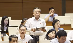 Luật hóa chính sách lấn biển: Mở không gian phát triển, siết quản trị rủi ro
