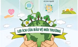 Chiến dịch làm cho thế giới sạch hơn 2021: Lợi ích của bảo vệ môi trường