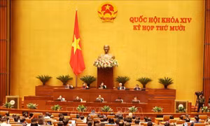 Thông cáo báo chí số 10, Kỳ họp thứ 10, Quốc hội khóa XIV