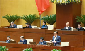 Phó Thủ tướng Vũ Đức Đam và 7 Bộ trưởng giải trình, làm rõ các vấn đề đại biểu quan tâm