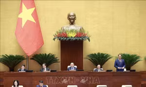 Cử tri Lào Cai đánh giá cao phiên thảo luận 3 chương trình mục tiêu quốc gia