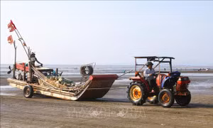Hành trình đưa nước mắm quê hương trở thành OCOP 3 sao