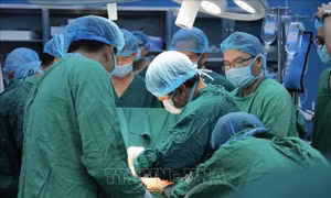 Làm chủ kỹ thuật hiện đại, mở ra cơ hội sống lâu dài cho người bệnh suy tạng