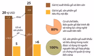 Công nghiệp chế biến gỗ sẽ là ngành kinh tế quan trọng vào năm 2030