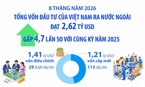 8 tháng năm 2026: Đầu tư của Việt Nam ra nước ngoài đạt 2,62 tỷ USD