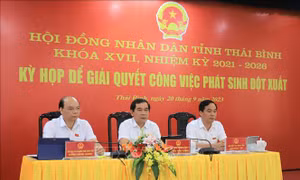 Thông qua Quy hoạch tỉnh Thái Bình thời kỳ 2021 - 2030, tầm nhìn đến năm 2050