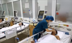 Sáu người nhập viện trong tình trạng nguy kịch do ngộ độc rượu ngâm rễ cây