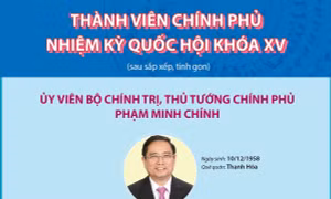Thành viên Chính phủ nhiệm kỳ Quốc hội khóa XV (sau sắp xếp, tinh gọn)