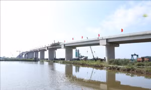 Hợp long cầu vượt sông Đáy trên trục đường bộ ven biển nối Ninh Bình và Nam Định