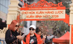 Chợ hoa Xuân phố cổ 2026 thu hút hơn 30.000 lượt khách mua sắm