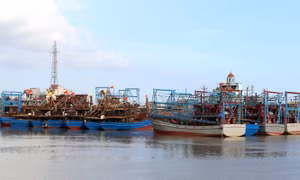 Nam Định khai thác hải sản bền vững 