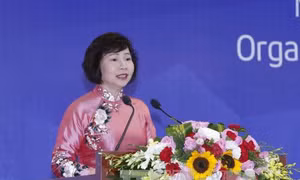 Thứ trưởng Hồ Thị Kim Thoa không được chấp nhận thôi việc khi đang bị điều tra