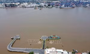 Đồng Nai thống nhất phương án làm cầu Cát Lái kết nối với TP Hồ Chí Minh