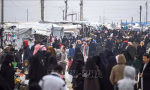 Liên hợp quốc kêu gọi hỗ trợ 8,8 tỷ USD cho Syria