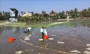 Những thách thức về an ninh môi trường - Bài cuối: Đề xuất những giải pháp khả thi
