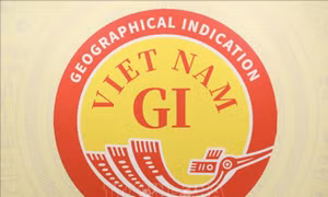 Công bố Biểu trưng chỉ dẫn địa lý quốc gia của Việt Nam