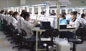 Hà Nội: Ổn định thị trường lao động sau Tết