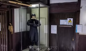 Khám phá thế giới bí mật của những Ninja Nhật Bản