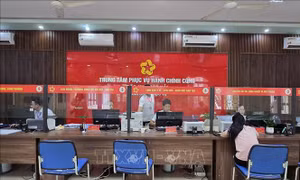 Đặc khu Cát Hải: Người dân bất tiện khi di chuyển giữa hai đảo để làm thủ tục hành chính