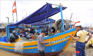 Khẩn trương hoàn tất đăng ký cho tàu cá '3 không'