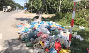 Cần sớm thu gom rác thải ùn ứ trên các tuyến đường tại Đà Nẵng
