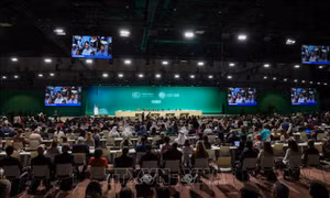 COP28: Hơn 130 quốc gia cam kết lồng sản xuất lương thực vào kế hoạch giảm khí thải